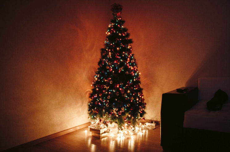 The Psychology of an 8-foot Artificial Christmas Tree